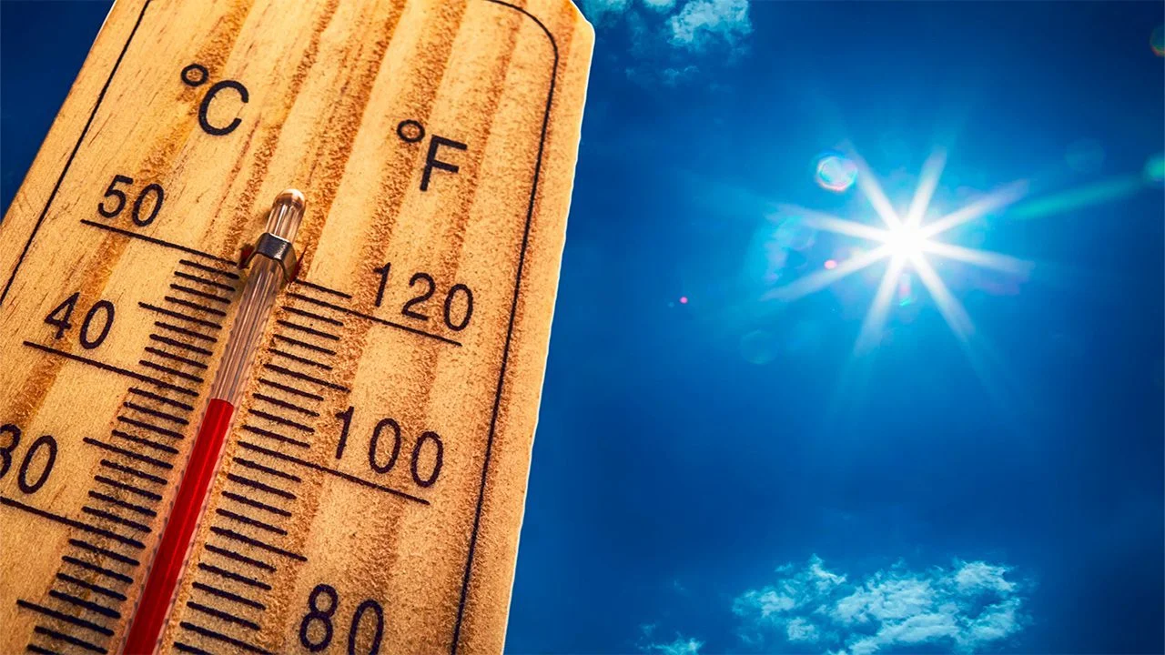 The Ultimate Guide to Walk-in Cooler Maintenance for a Breezy Summer