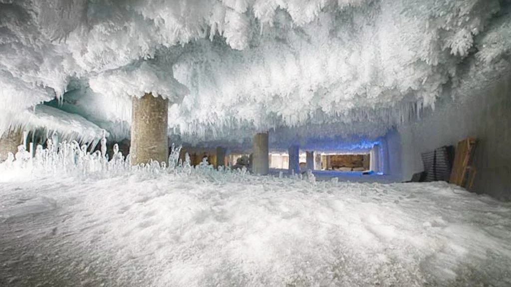 Unlock the Secrets to Preventing Cold Room Evaporator Icing Up- A Must-Read Guide for Success