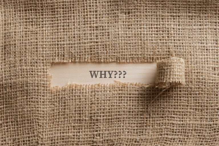 7 Key Benefits WalkIn Meat Coolers With Rail Systems