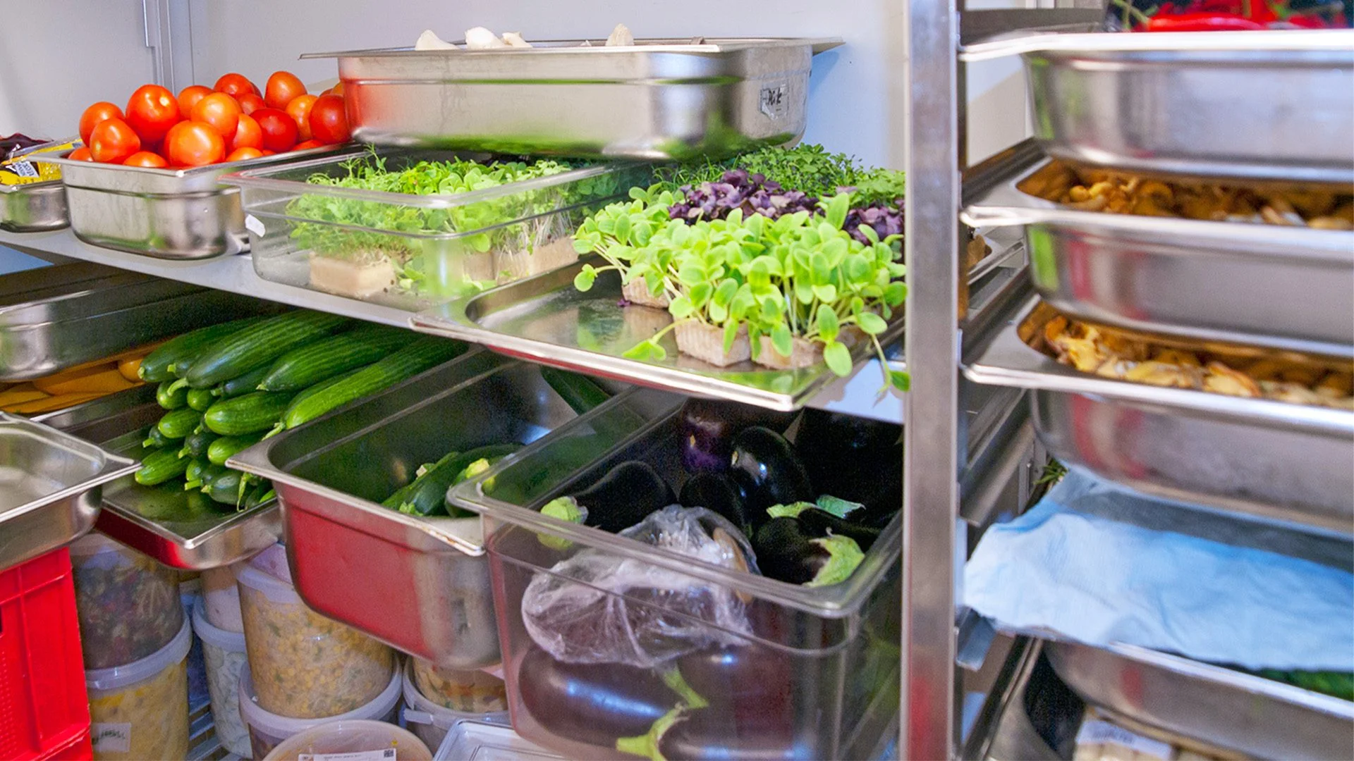 Walk-in Freezer Food Loss