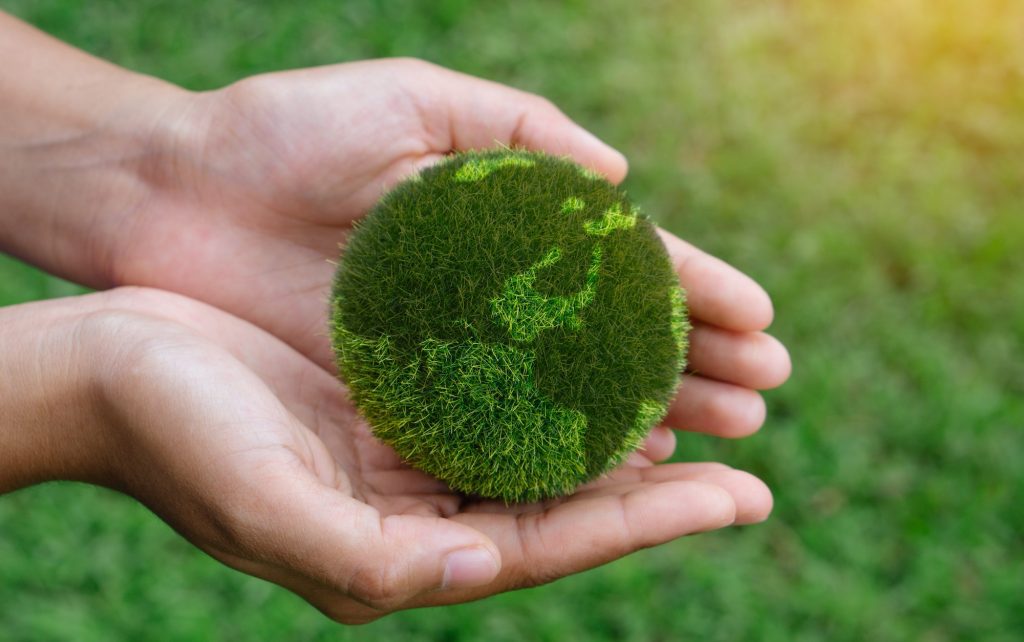 earth in hands. save of earth.World environment day and sustainable environment concept
