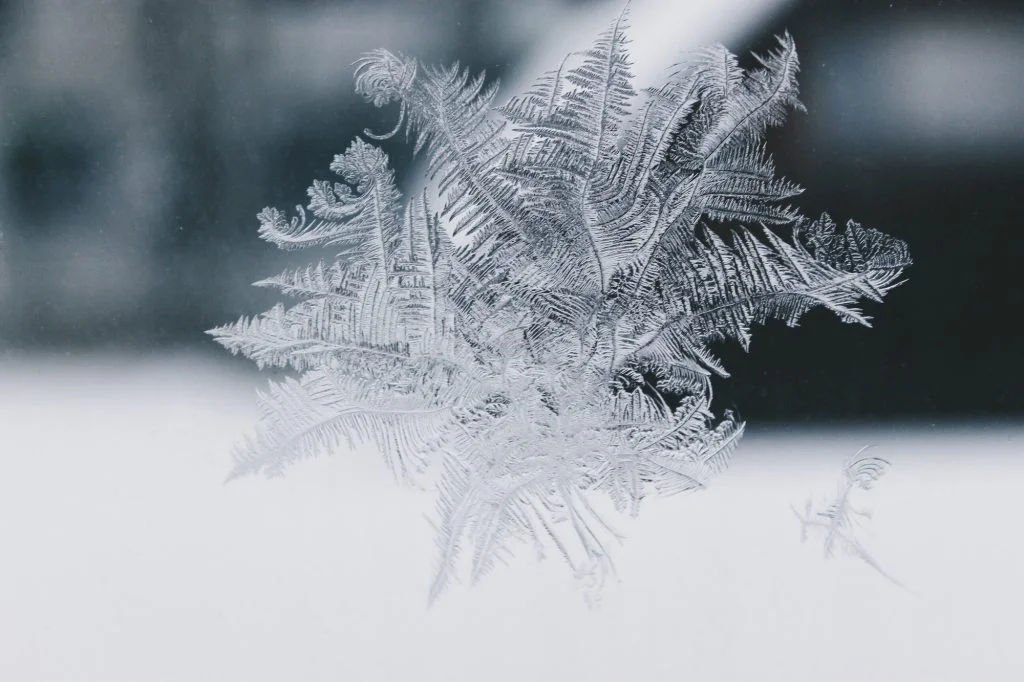 Frost on window glass