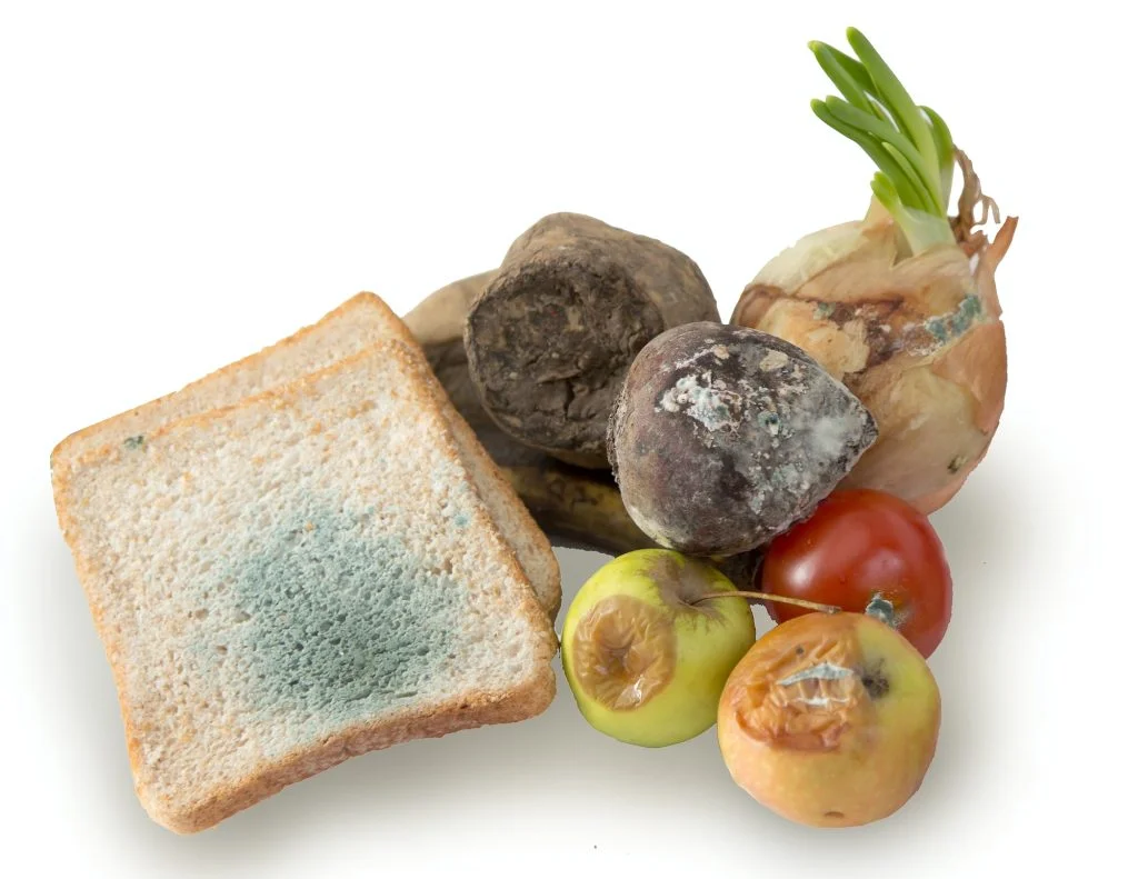 spoiled bread, fruits and vegetables on an isolated white background.